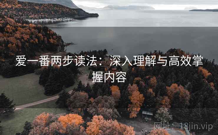 爱一番两步读法：深入理解与高效掌握内容