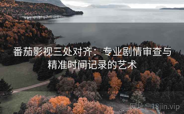 番茄影视三处对齐：专业剧情审查与精准时间记录的艺术