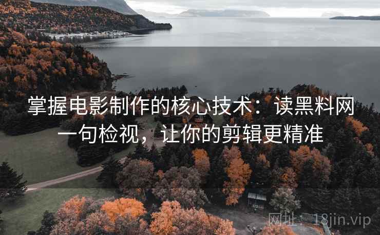 掌握电影制作的核心技术：读黑料网一句检视，让你的剪辑更精准