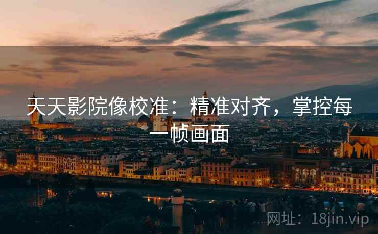 天天影院像校准：精准对齐，掌控每一帧画面
