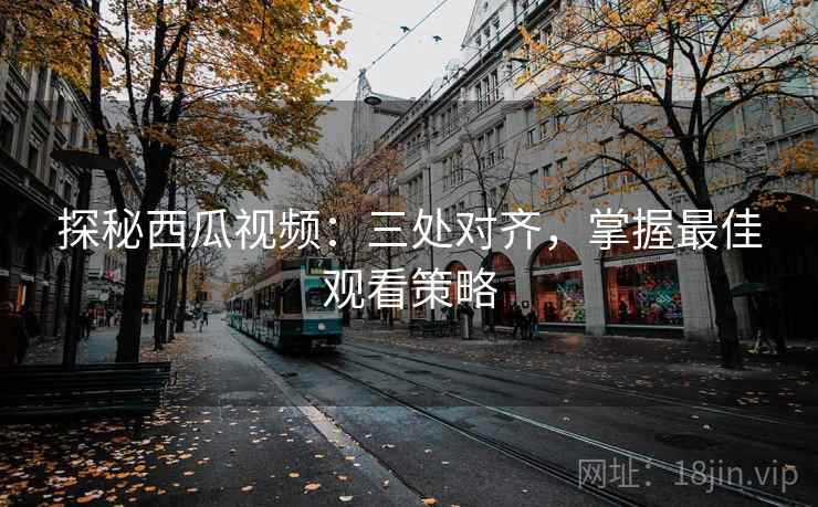探秘西瓜视频：三处对齐，掌握最佳观看策略